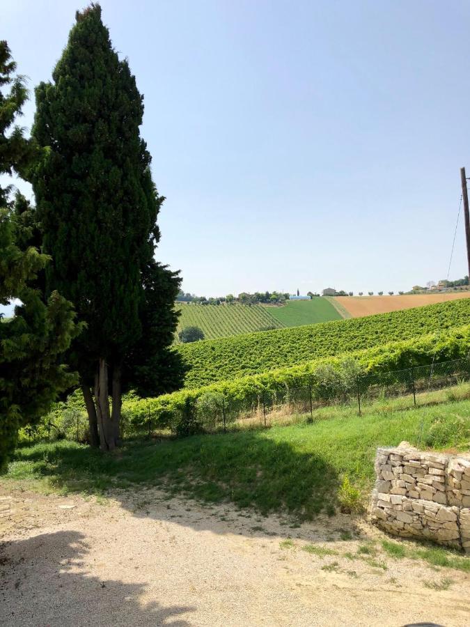 B&B Santa Caterina Acquaviva Picena Extérieur photo